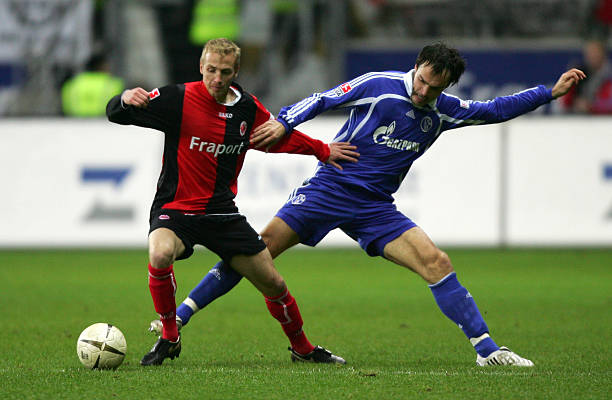 如果你需要 如果你需要